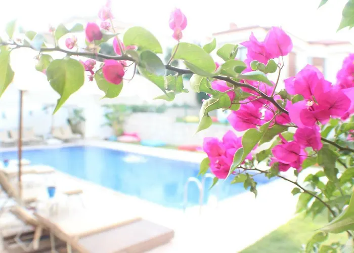 Sureyya Hanim Butik Esmirna