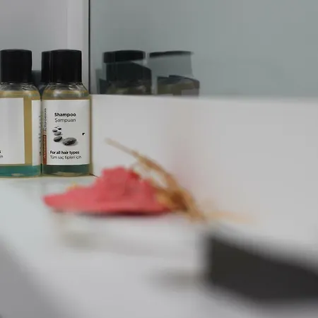 ホテル Sureyya Hanim Butik イズミル